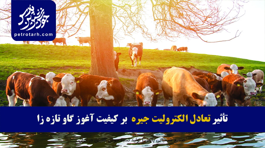 تأثیر تعادل الکترولیت جیره بر کیفیت آغوز گاو تازه زا