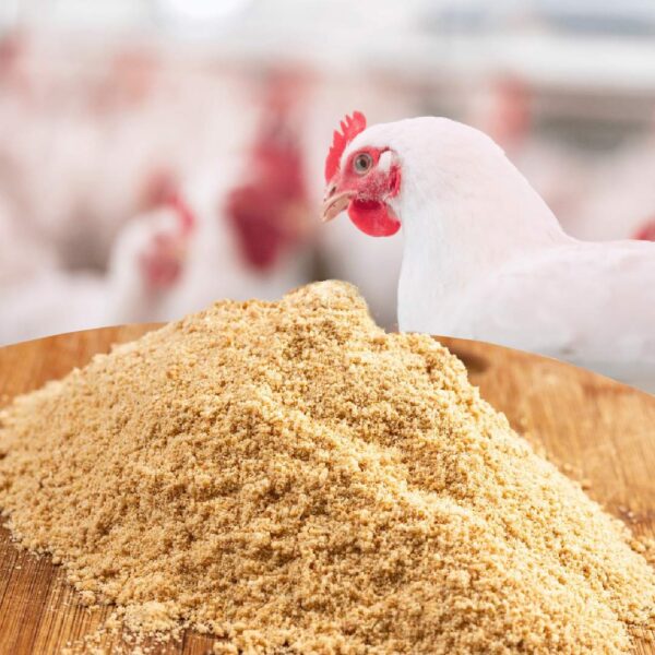 الکترولیت مرغ گوشتی