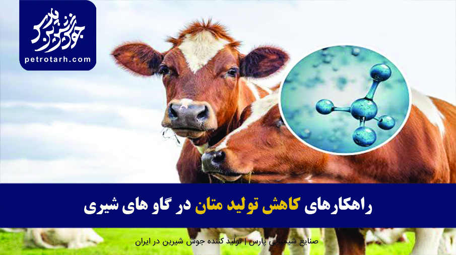 کاهش تولید متان در گاو های شیری