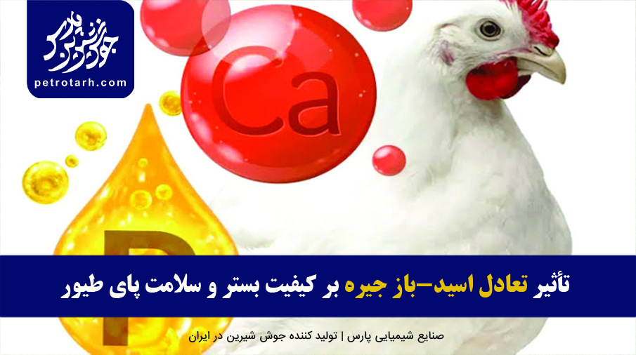 تأثیر تعادل اسید-باز جیره بر کیفیت بستر و سلامت پای طیور
