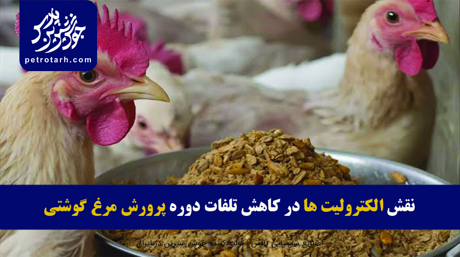 الکترولیت مرغ گوشتی