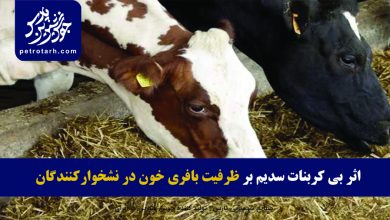 تصویر مکانیسم اثر بی کربنات سدیم بر ظرفیت بافری خون در نشخوارکنندگان