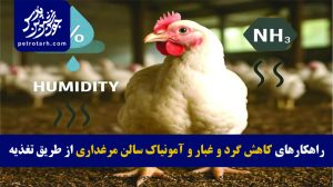 راهکارهای کاهش گرد و غبار و آمونیاک سالن مرغداری از طریق تغذیه