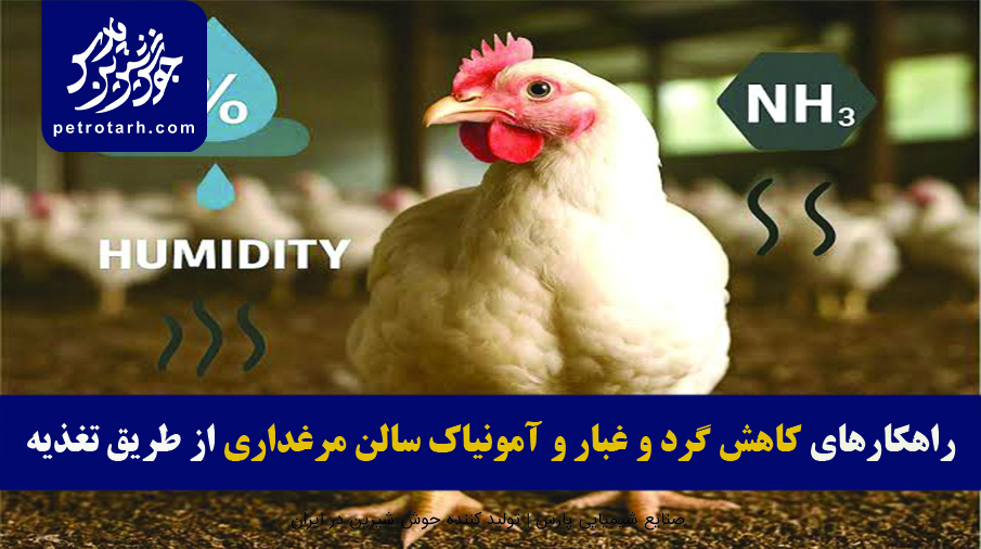 Reducing ammonia levels in poultry houses