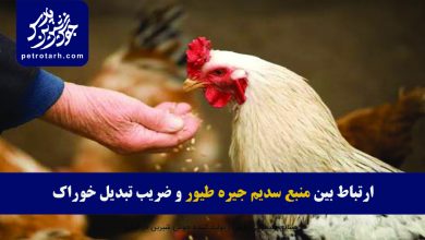 تصویر ارتباط بین منبع سدیم جیره طیور و ضریب تبدیل خوراک