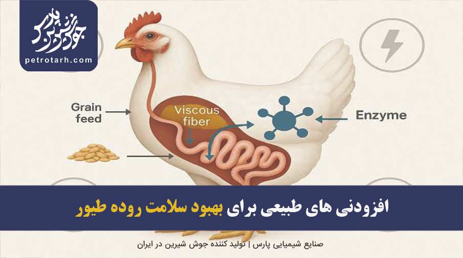 Improving poultry gut health
